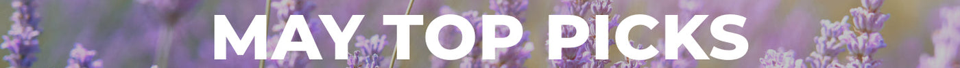 may top picks
