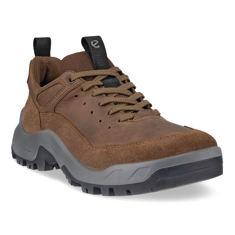 Ecco Offroad Lace-UP (Men's) Cocoa Brown