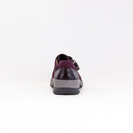 Fidelio Multistretch Mitzy (Women's) - Vino Combi