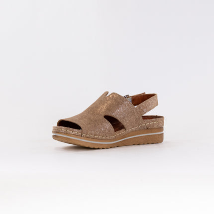 V Italia 967-25 (Women's) - Camel Metallic Leather