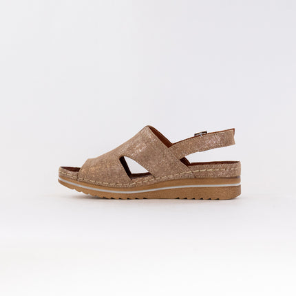 V Italia 967-25 (Women's) - Camel Metallic Leather