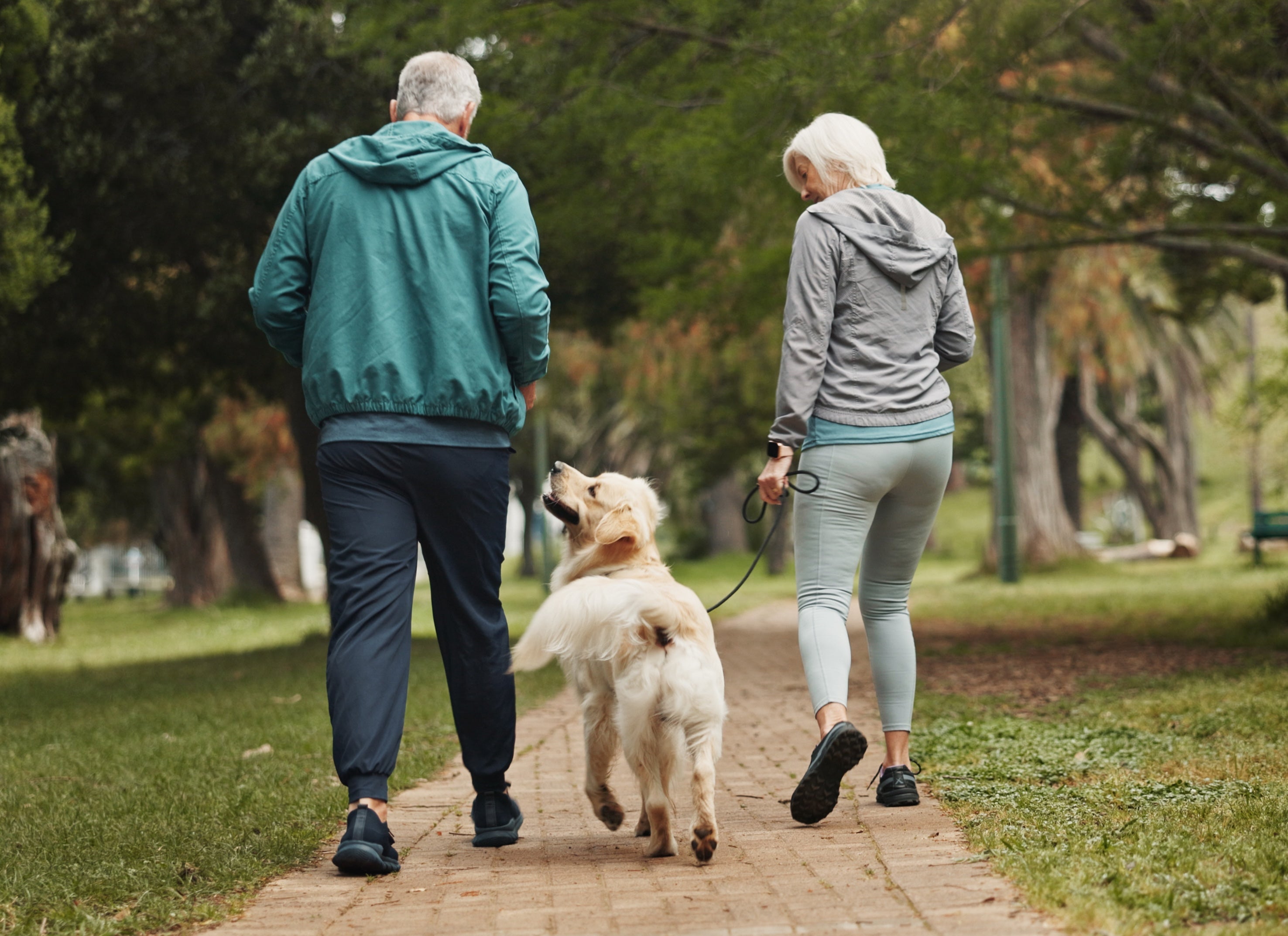 WHAT CAUSES TENDONITIS IN THE FOOT? HOW TO AVOID RISK FACTORS & PREVENT PAIN - Chiappetta Shoes