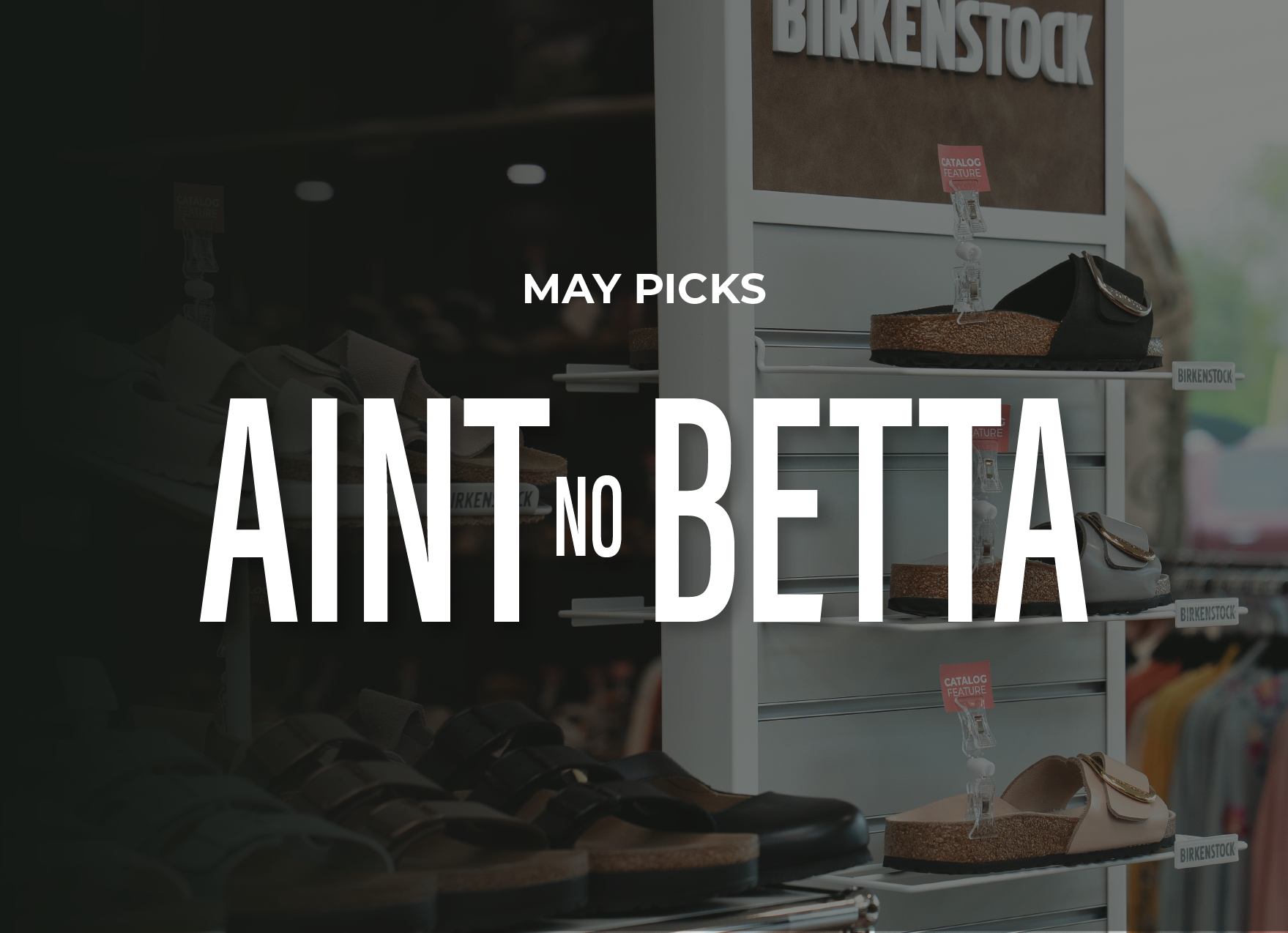 November Top Picks FW25