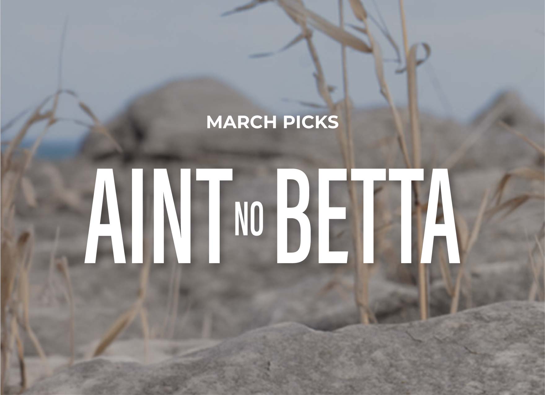 November Top Picks FW25