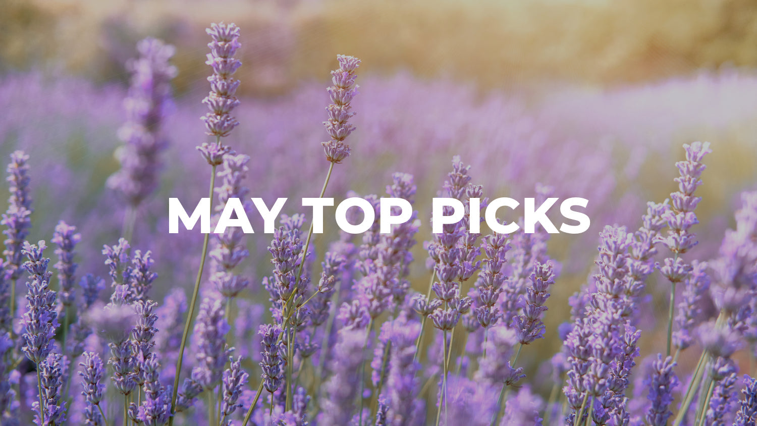 may top picks