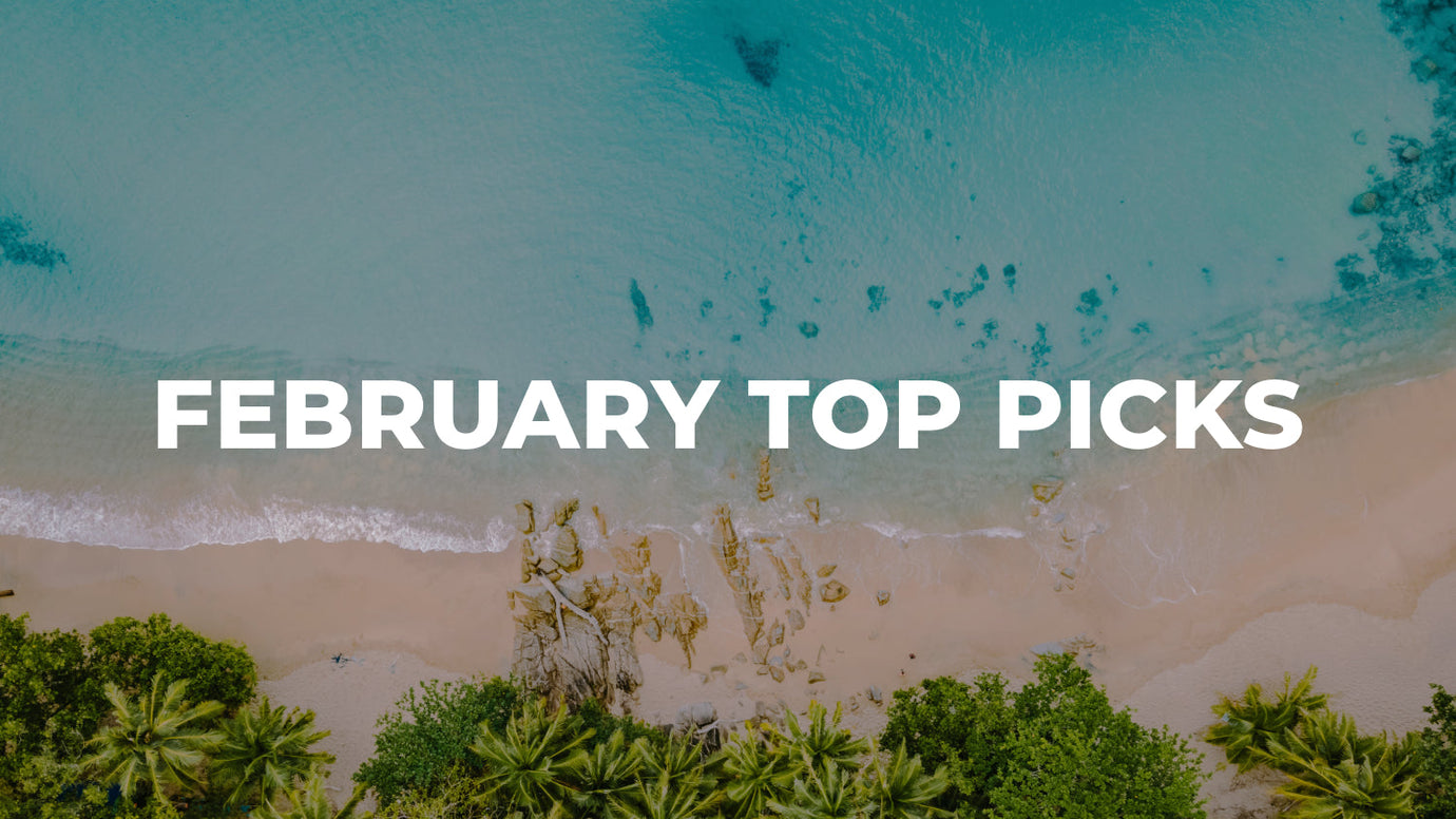 February  Top Picks