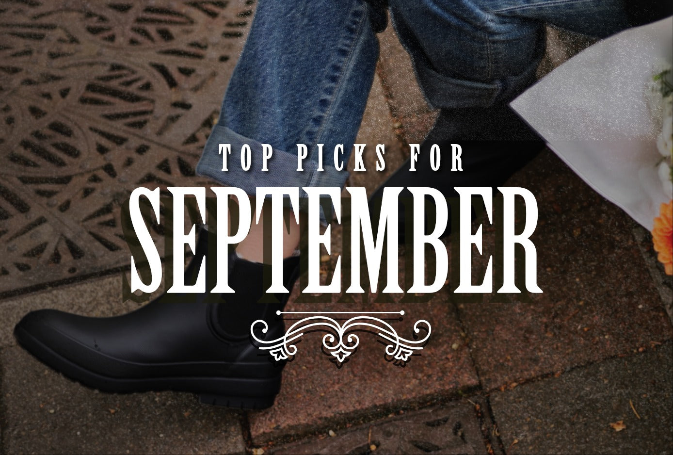September Top Picks
