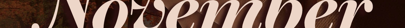 November Top Picks FW25