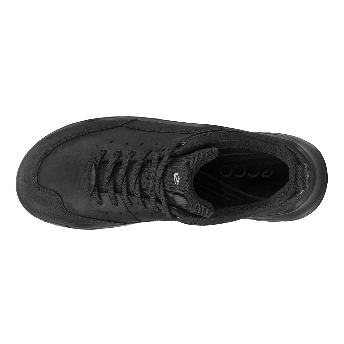 Ecco 2025 wayfly mens