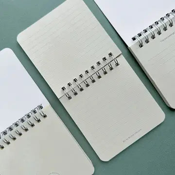BV by Bruno Visconti Pocket Art Journal  - Peonies