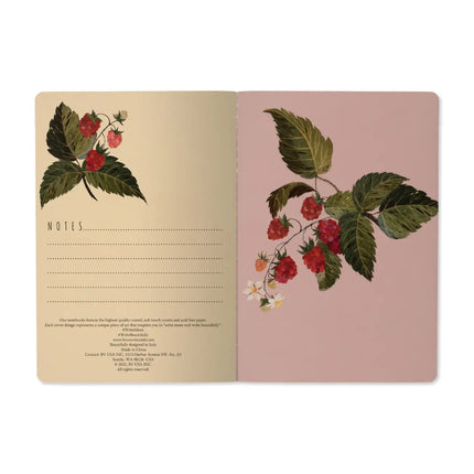 BV by Bruno Visconti A5 Notebook -  Raspberry