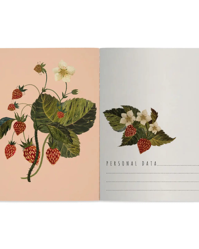 BV by Bruno Visconti A5 Notebook - Wild Strawberry