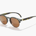 PINE TORTOISE AMBER