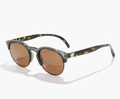 PINE TORTOISE AMBER