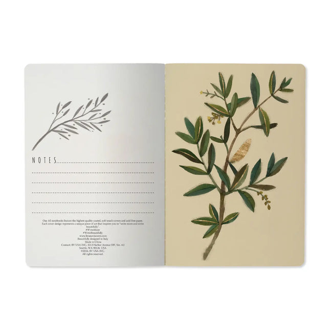BV by Bruno Visconti Olive Notebook