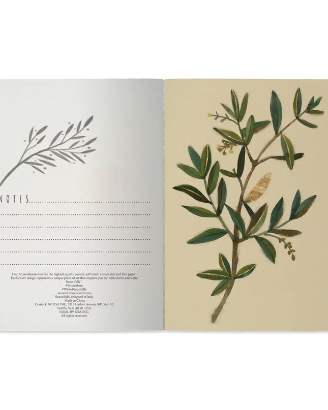 BV by Bruno Visconti Olive Notebook