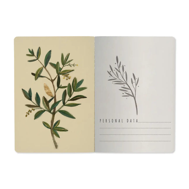 BV by Bruno Visconti Olive Notebook