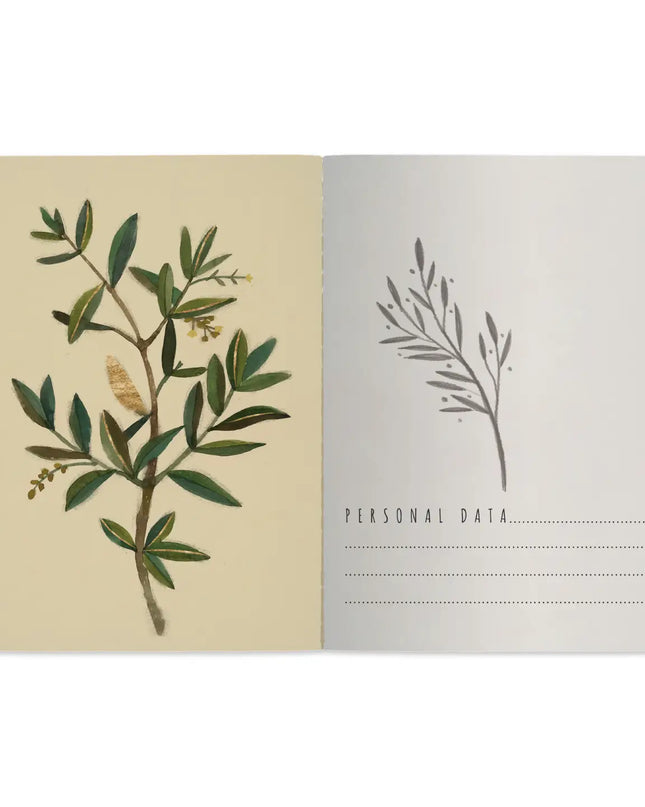 BV by Bruno Visconti Olive Notebook