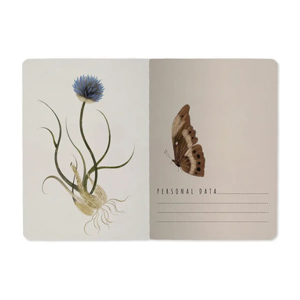 BV by Bruno Visconti Small Notebook Symmetrical Floral