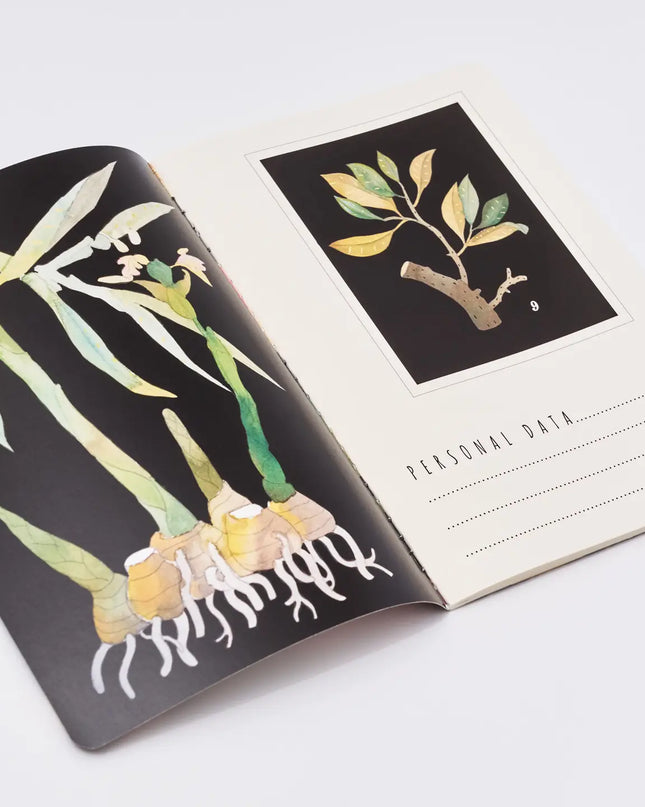 BV by Bruno Visconti A5 Notebook - Botany