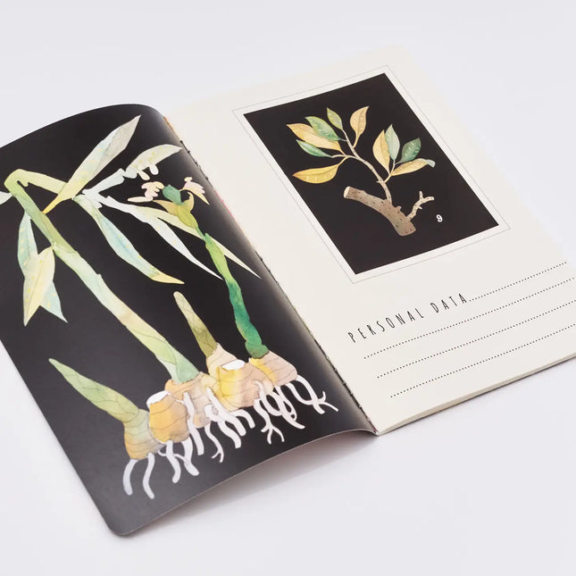 BV by Bruno Visconti A5 Notebook - Botany