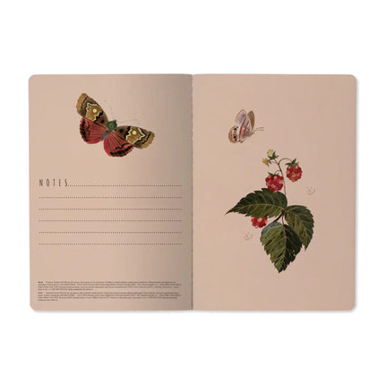 BV by Bruno Visconti Butterflies and Berries Notebook