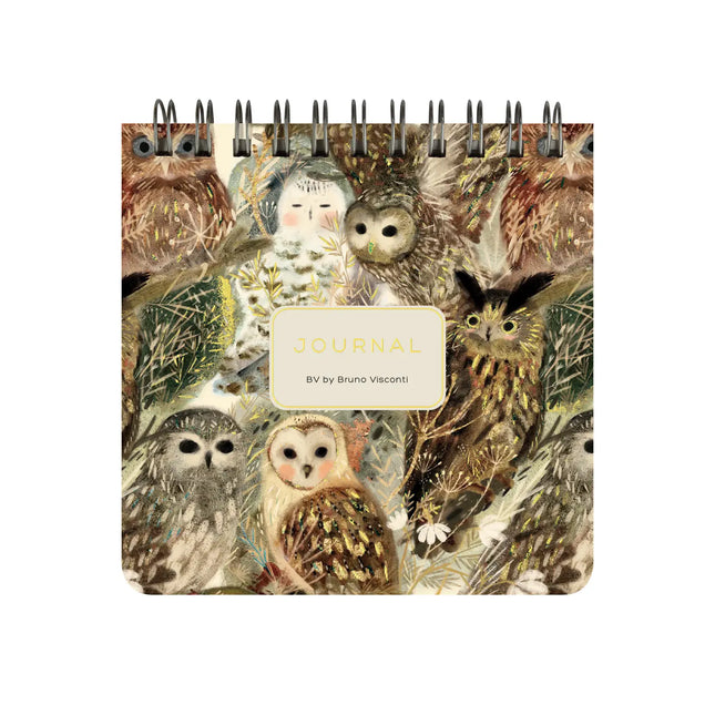 BV by Bruno Visconti Pocket Art Journal  - Owls