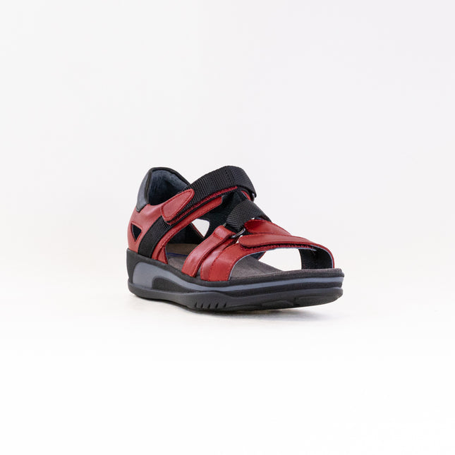 Wolky Desh (Women's) - Savana Leather Red