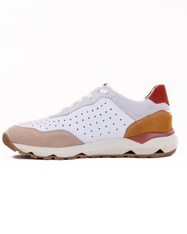 Josef Seibel Jonah 02 (Women's) - Beige Multi