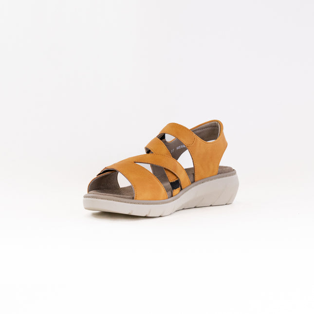 Wolky Ikaria (Women's) - Amber