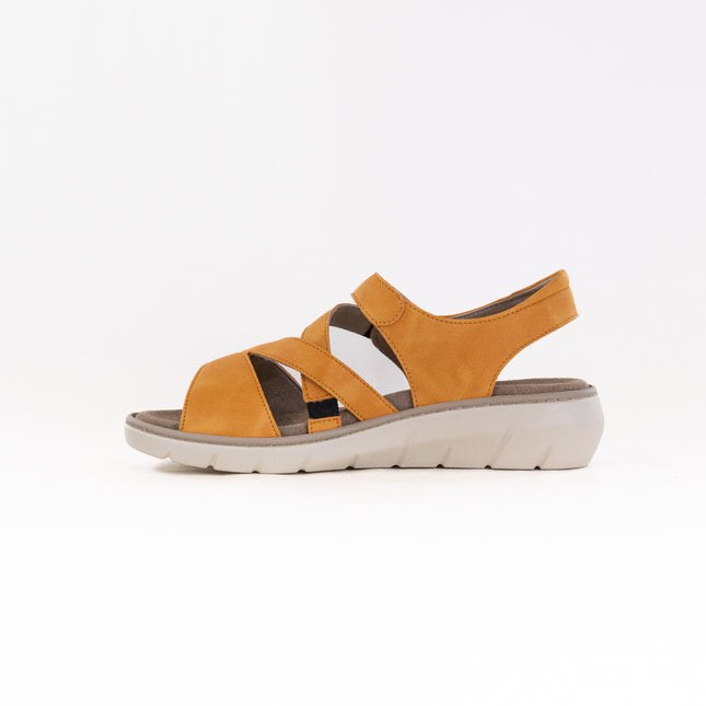Wolky Ikaria (Women's) - Amber