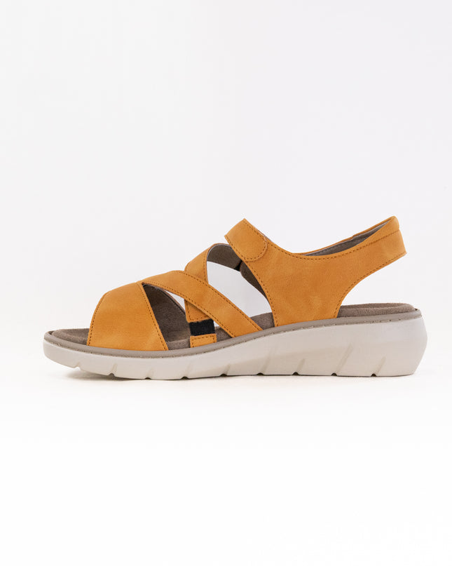 Wolky Ikaria (Women's) - Amber