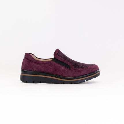 Fidelio Namir Multistretch Gallery (Women's) - Vino