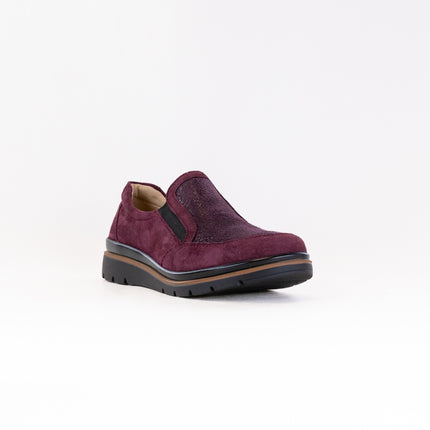 Fidelio Namir Multistretch Gallery (Women's) - Vino