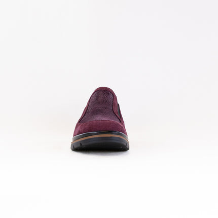 Fidelio Namir Multistretch Gallery (Women's) - Vino