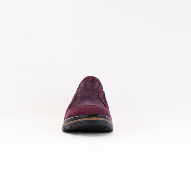 Fidelio Namir Multistretch Gallery (Women's) - Vino