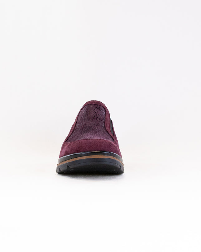 Fidelio Namir Multistretch Gallery (Women's) - Vino