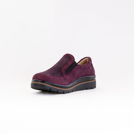 Fidelio Namir Multistretch Gallery (Women's) - Vino