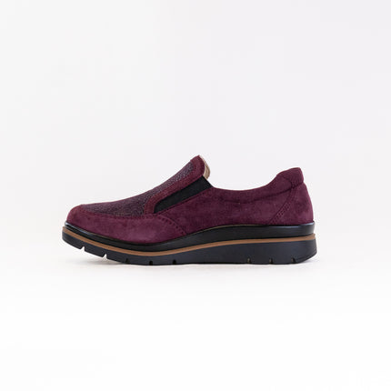 Fidelio Namir Multistretch Gallery (Women's) - Vino
