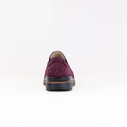 Fidelio Namir Multistretch Gallery (Women's) - Vino