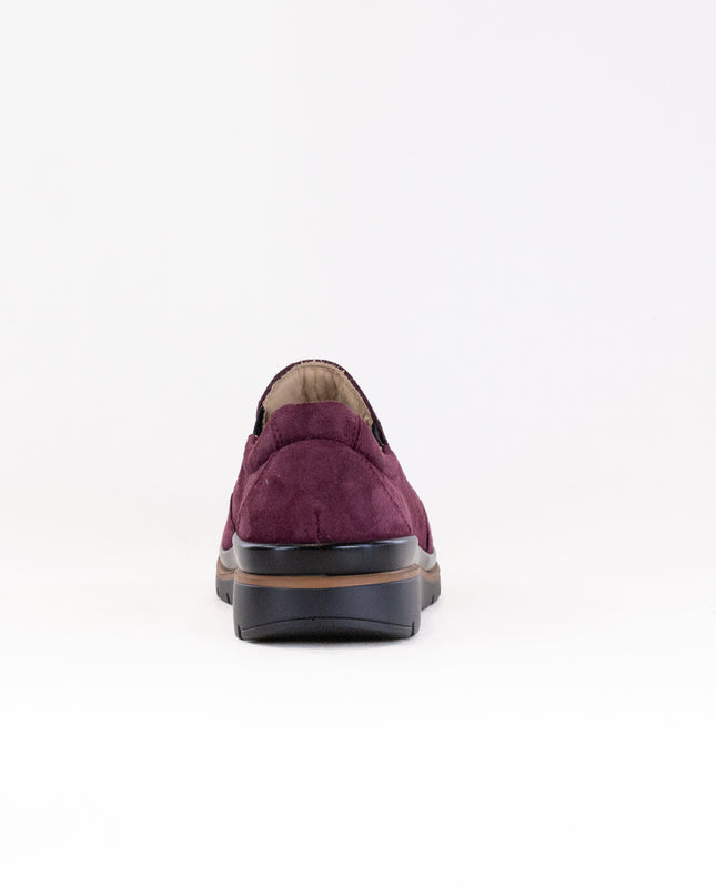 Fidelio Namir Multistretch Gallery (Women's) - Vino
