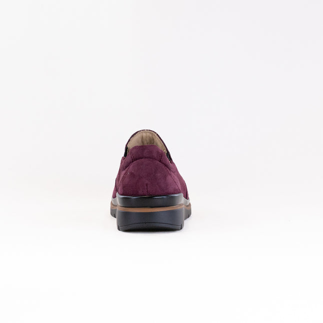 Fidelio Namir Multistretch Gallery (Women's) - Vino