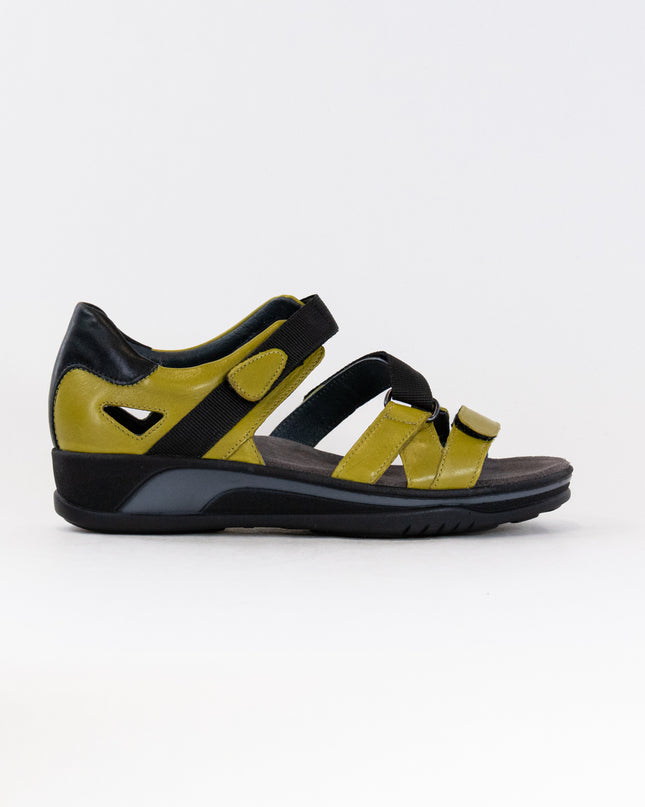 Wolky Desh (Women's) - Olive Green