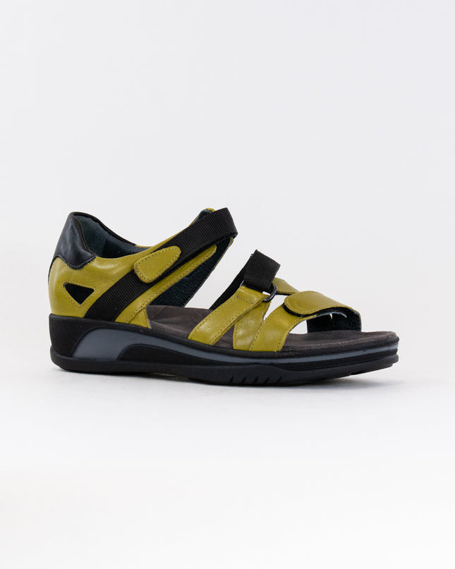 Wolky Desh (Women's) - Olive Green