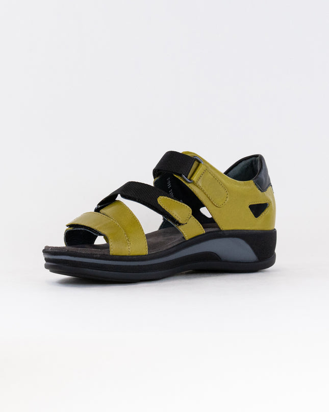 Wolky Desh (Women's) - Olive Green