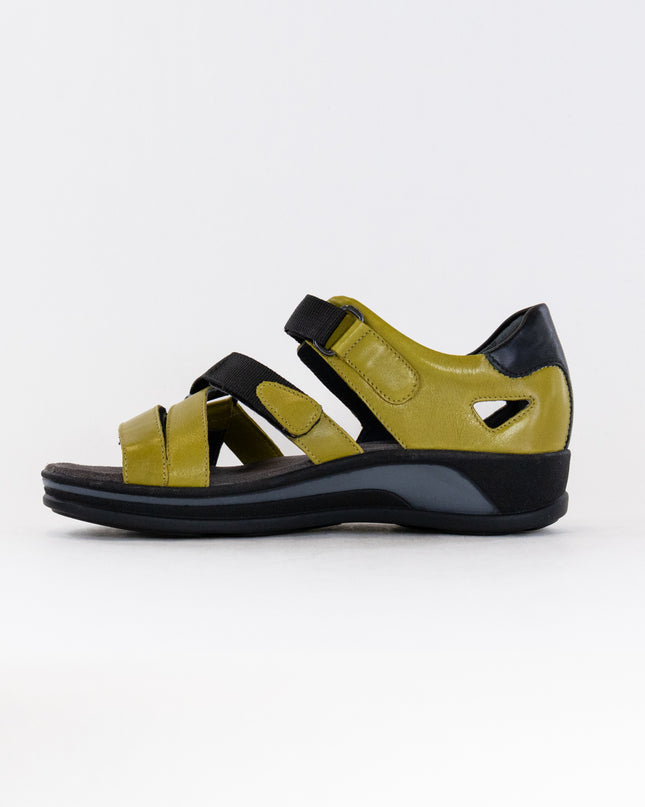 Wolky Desh (Women's) - Olive Green