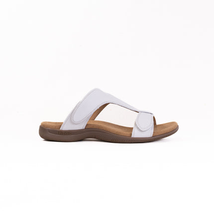 Collection image for: June Top Picks