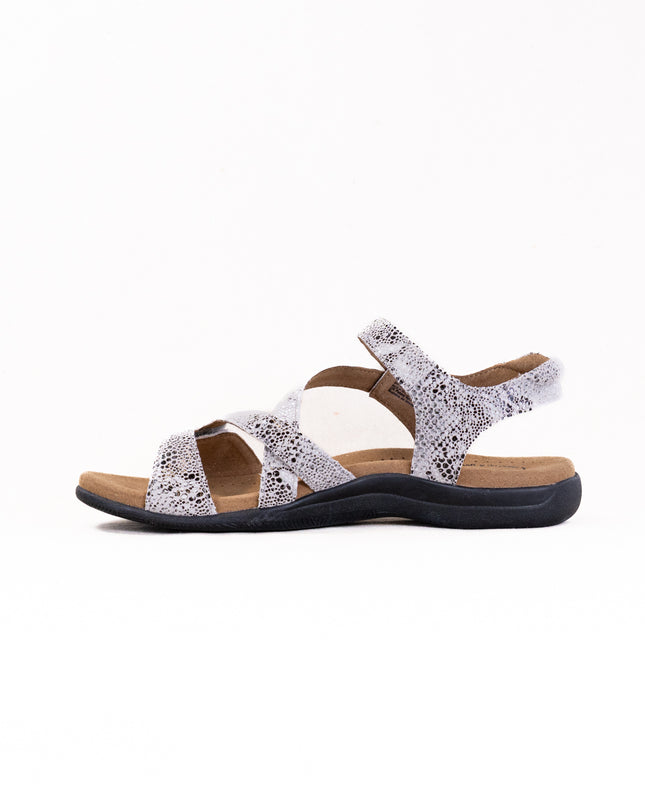 Taos Big Time (Women's) - Grey Snake