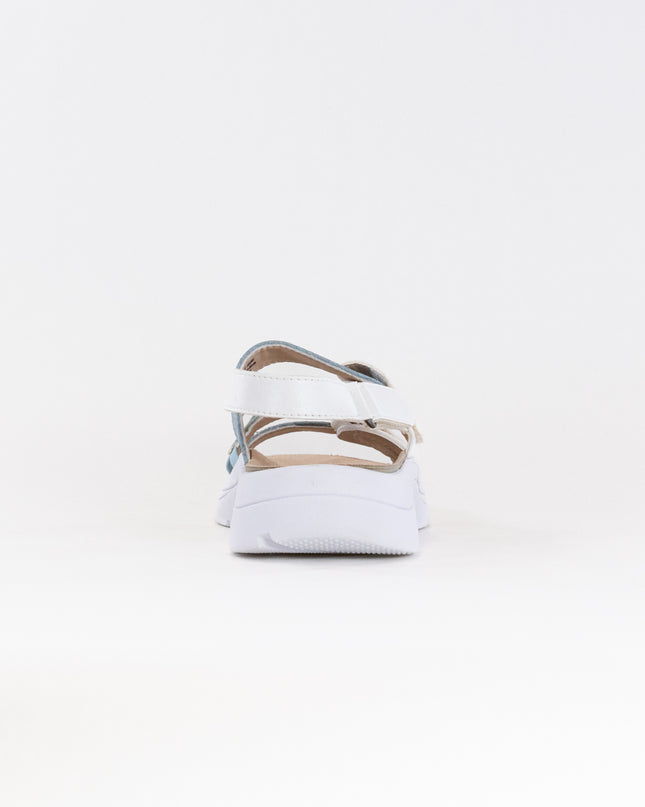 Drew Serenity (Women's) - White/Blue Combo