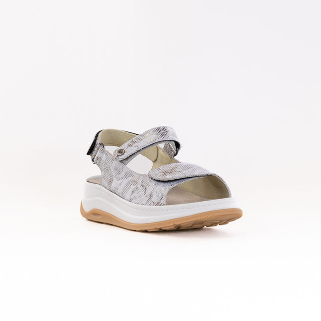 Wolky Adura (Women's) - Floral Print Beige